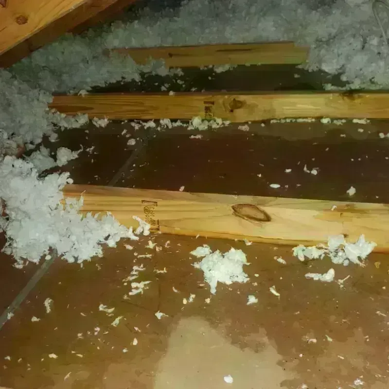 Attic Water Damage in Cohasset, MA